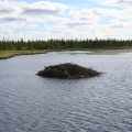 Beaver Dam