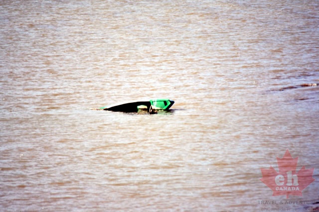 Canoe Sinking