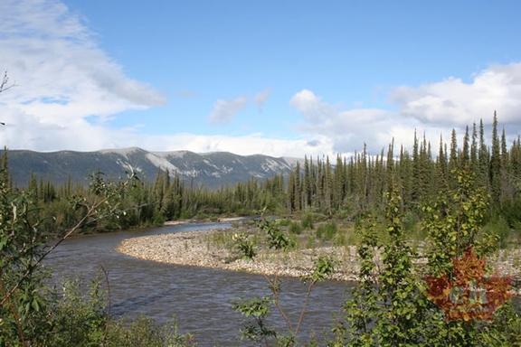 Ogilvie River
