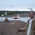 Attack of the Seagulls