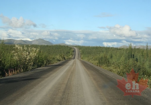 Dempster Highway (1975 visits) Looks like all gravel from here on in Dempster Highway