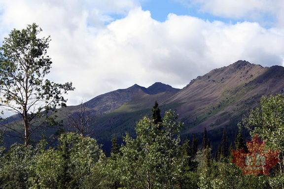 Mountain  Views