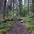 Grizzly Creek Hiking Trail