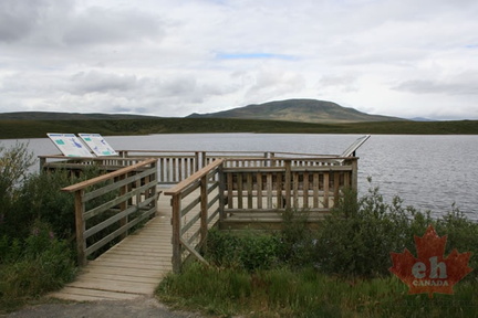 Lookout on Dempster