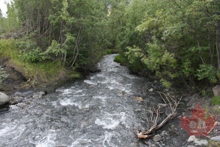 Charcoal River