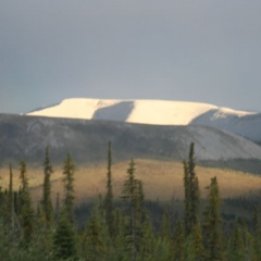 Ogilvie Mountains (2723 visits) Views from the Dempster Ogilvie Mountains