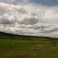 farm fields