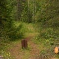 trail 001