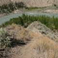 chilcotin river 004