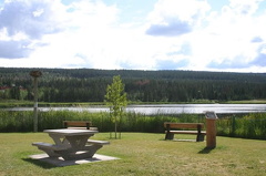 picnic