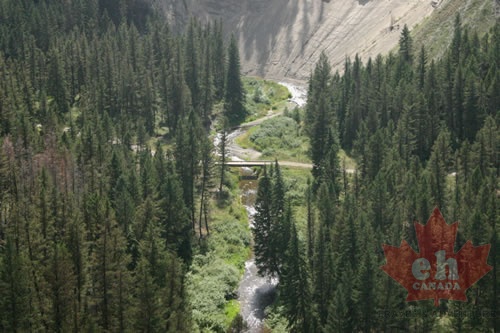 trail 001