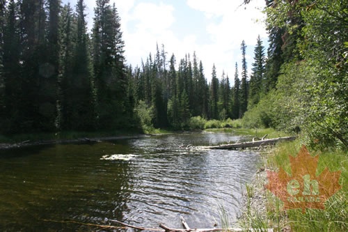 lake 004