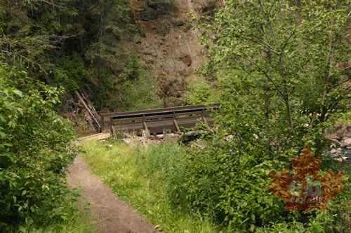 trail 003