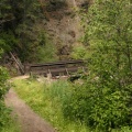 trail 003