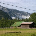 fields