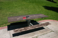 picnic 004