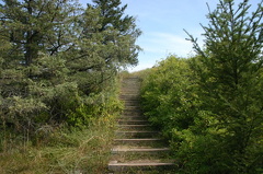 lookout 001.jpg