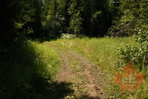 trail 002