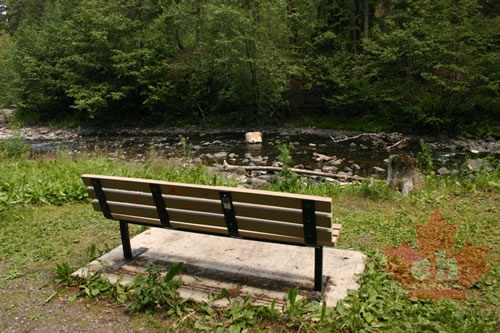 viewing bench