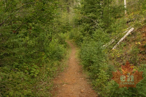 trail 002