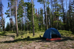 bceh camp