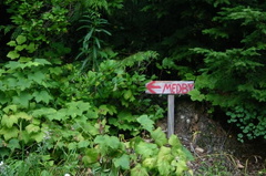 trailhead signs