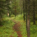 trail 001