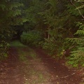 trail 003