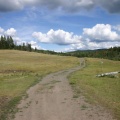 trail 002