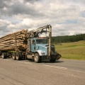 logging trucks