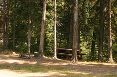 picnic
