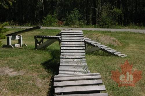 ramps 002.jpg