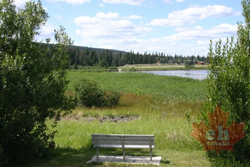 viewing bench