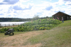 gardens