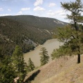 fraser river from moores mtn