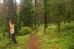trail 002