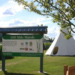 100-Mile-Marsh