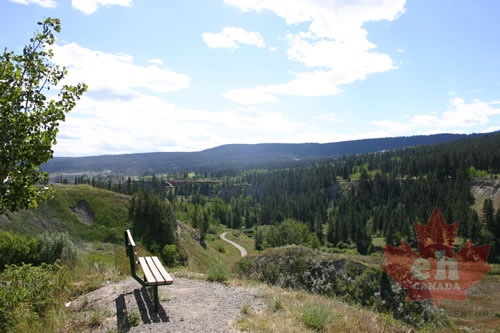 viewing bench