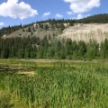wetlands