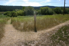 trails 005