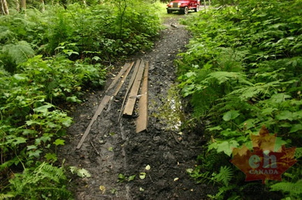 trail 003