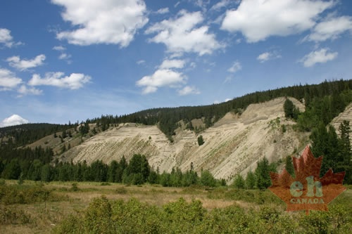 sand dunes