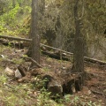 lower mtn trails 002