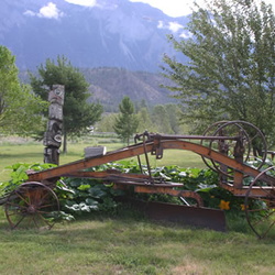 lillooet
