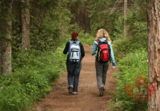 trail-hikers20090707 51