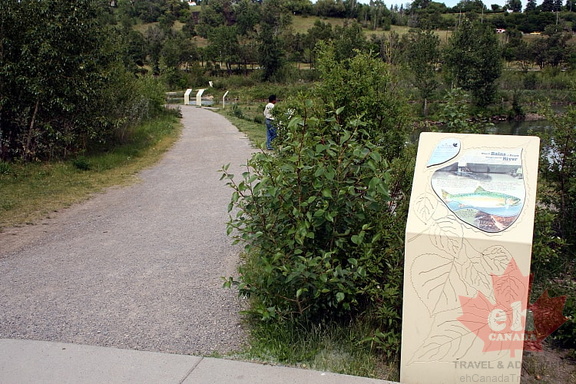 interpretive-trail-signs20090628 480001
