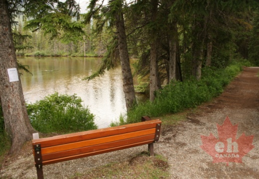 trail-bench20090707 50