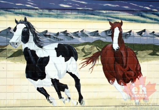 horse-murals20090626 36012