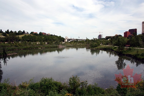 interpretive-trail-wetlands20090628 560001