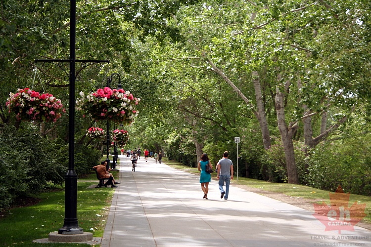 path20090629_170001.JPG
